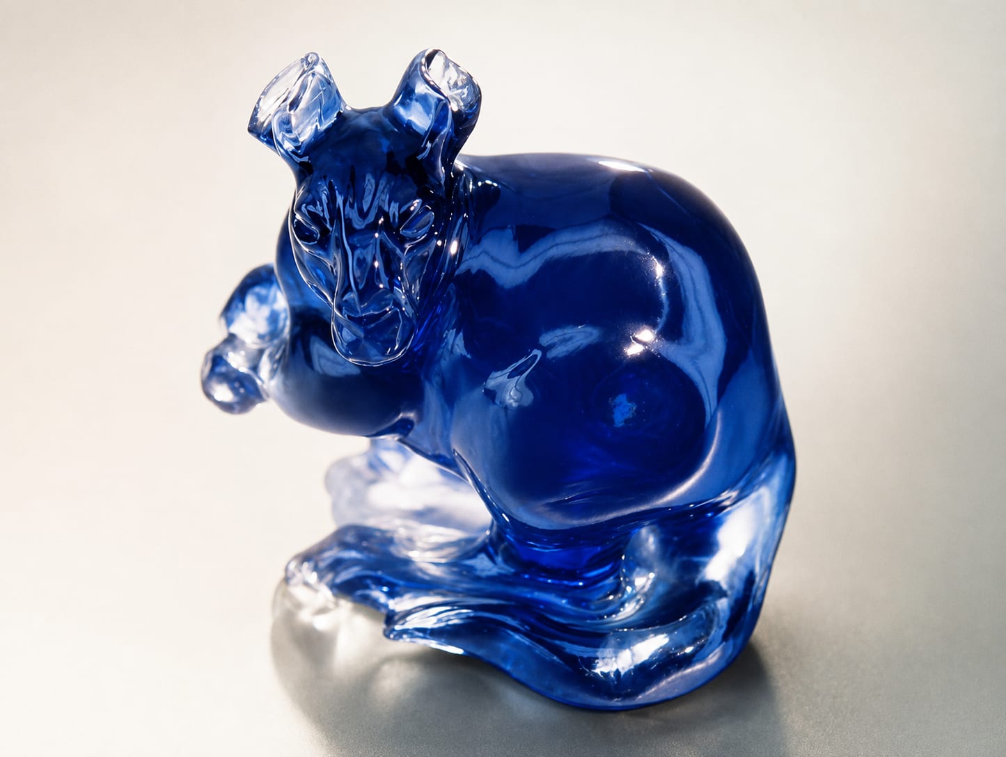  Model or product image